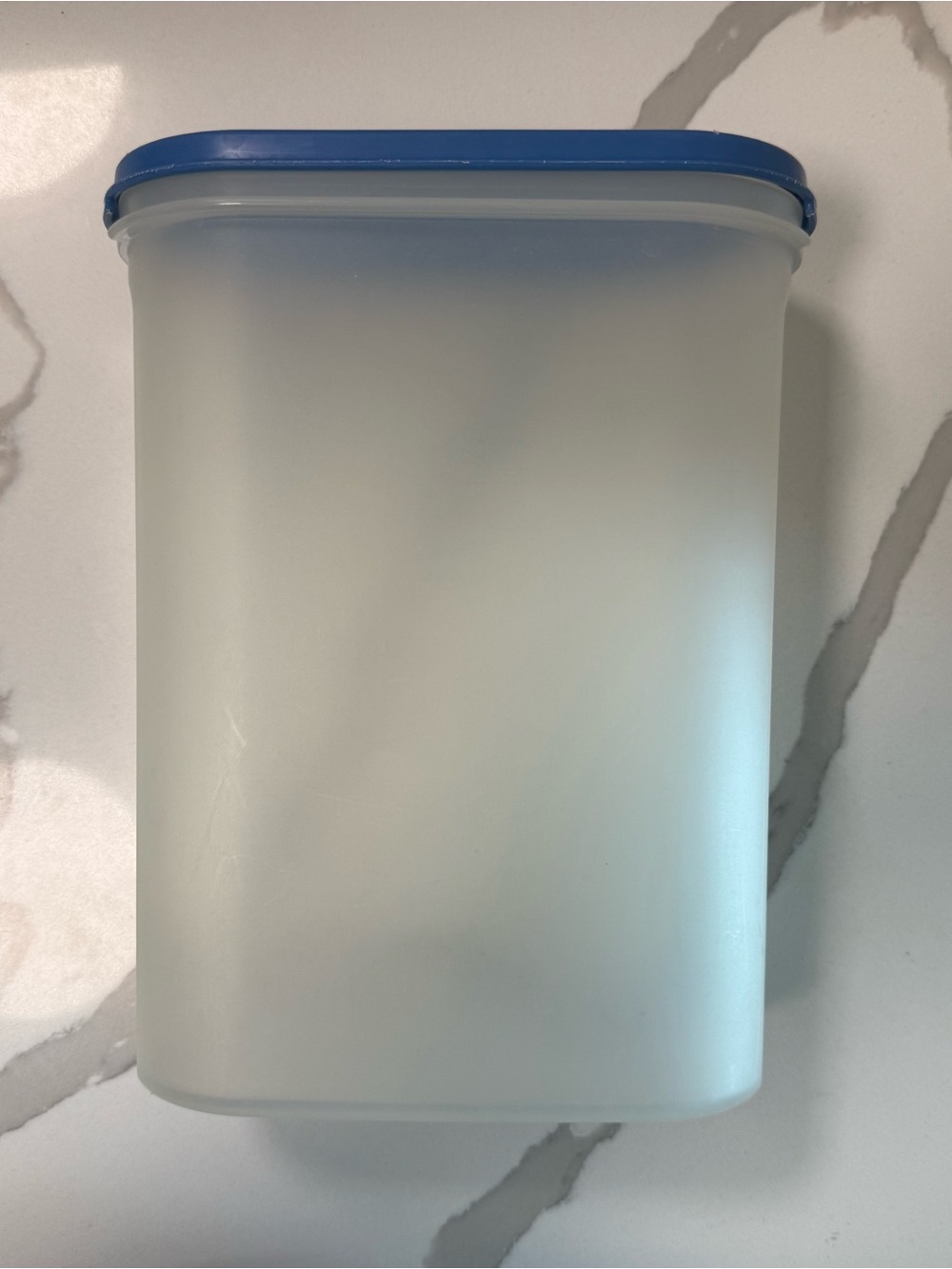 Vintage Tupperware Modular Mates Oval 4 Storage Canister Blue Lid 9.75 Cup